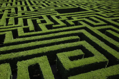 3 cognitive biases that might hindering your financial success